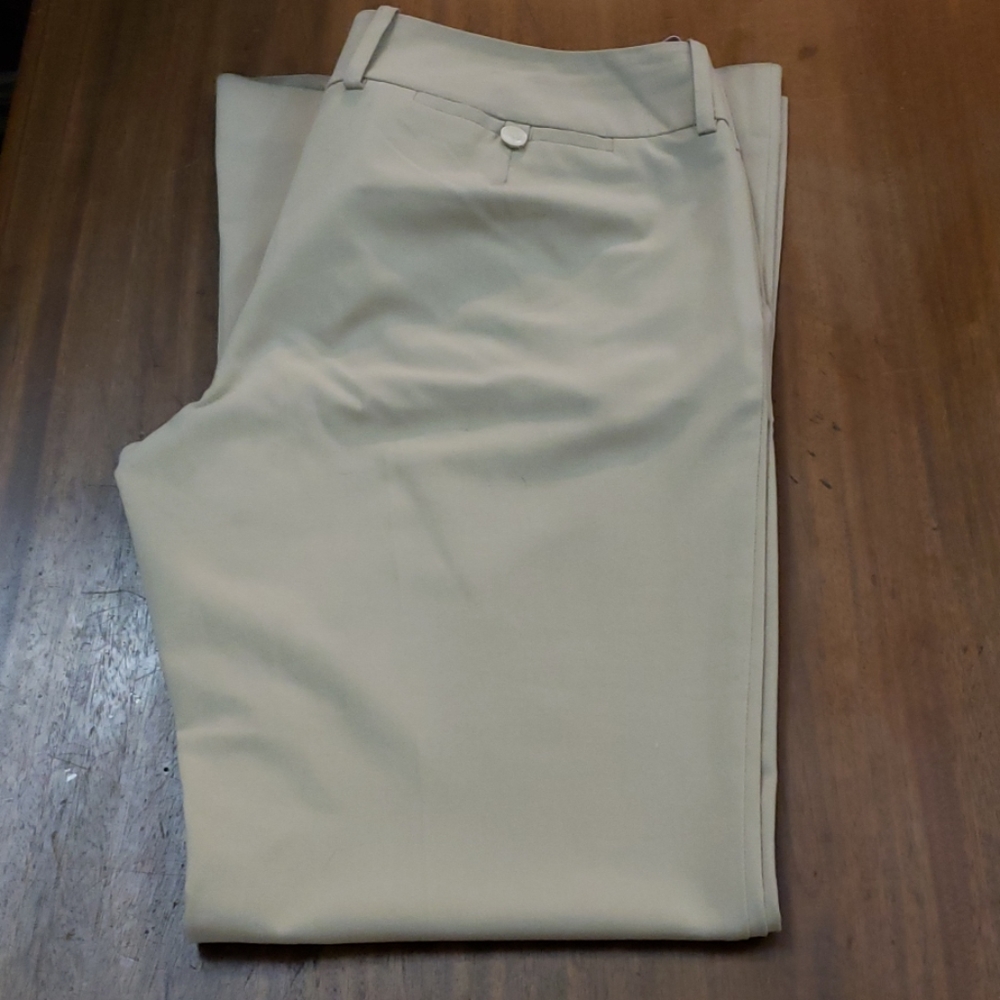 The Limited Dress Pants